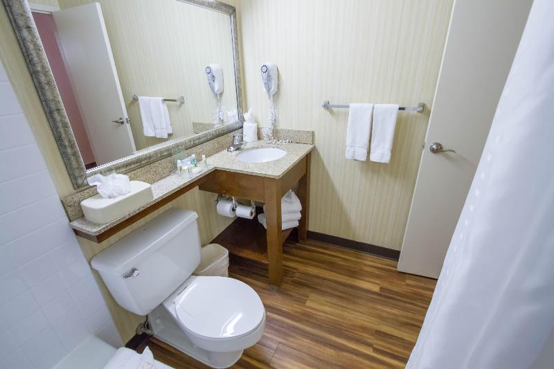 Стандартный Номер Кровать Кинг, Holiday Inn Bloomington Airport South Mall Area By Ihg