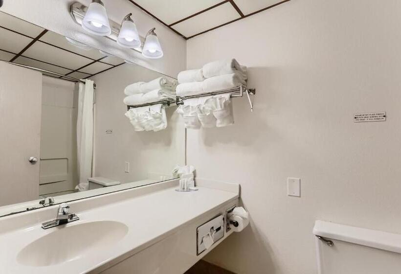 Номер Стандарт Кровать Кинг Адаптированный для Инвалидов, Baymont By Wyndham Loveland   Fort Collins Area