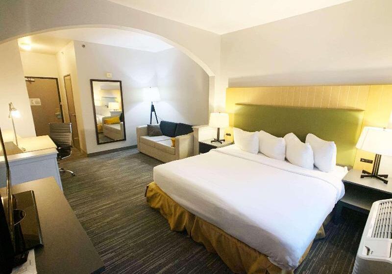스탠다드 발코니 룸, Country Inn & Suites By Radisson, Fort Worth West L30 Nas Jrb