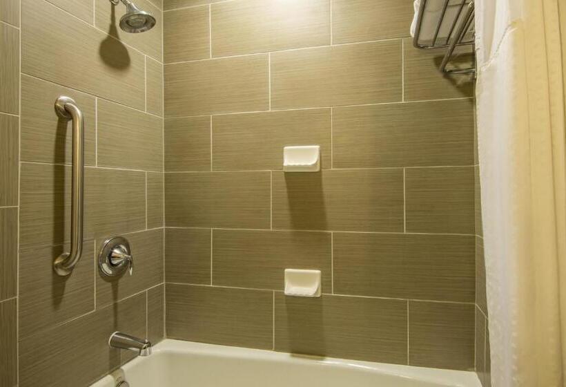 Люкс Кровать Кинг, Holiday Inn Express Hotel & Suites Hobbs By Ihg