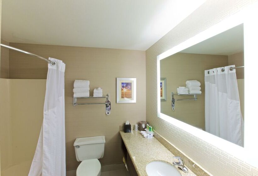 장애인을 위한 스탠다드 룸, Holiday Inn Express Fargo   West Acres, An Ihg