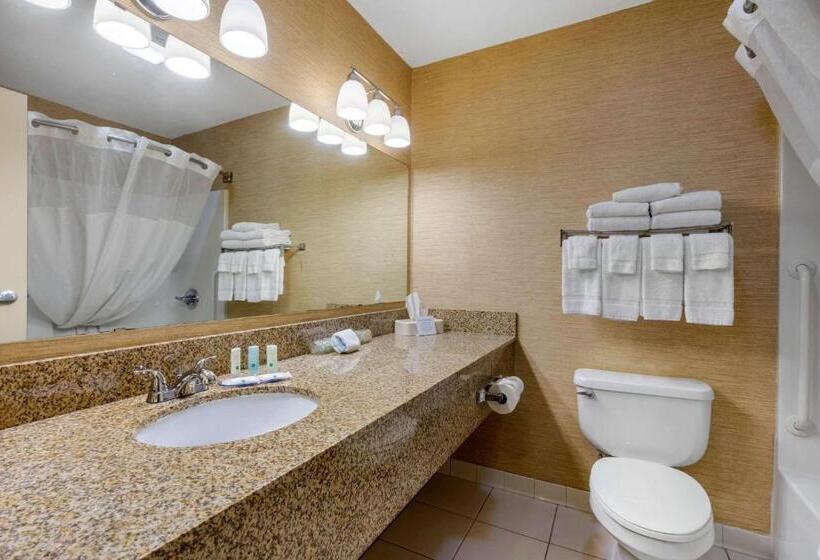 스탠다드 룸 킹사이즈 침대, Quality Inn & Suites Benton  Draffenville