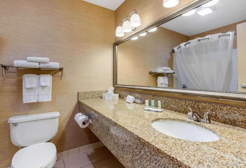 스위트 킹사이즈 침대, Quality Inn & Suites Benton  Draffenville