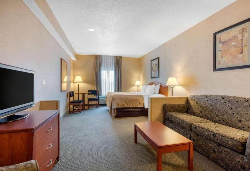 스위트 킹사이즈 침대, Quality Inn & Suites Benton  Draffenville