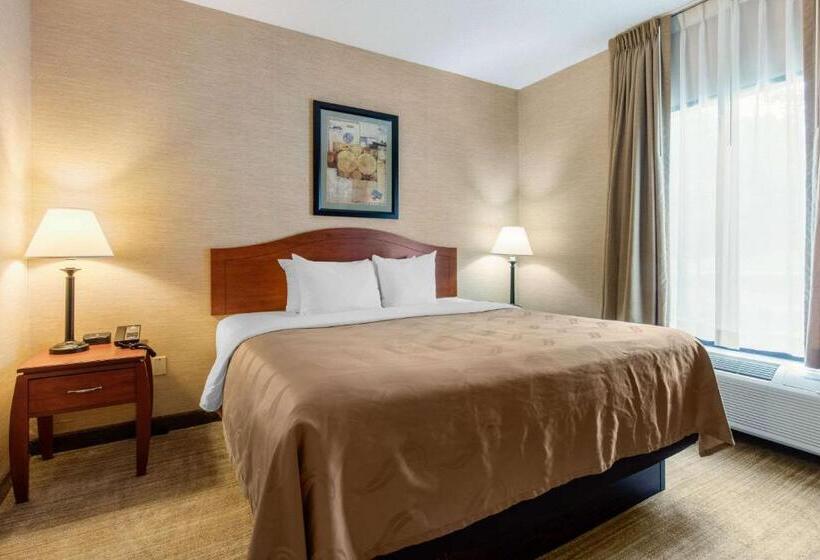 수피리어 스위트, Quality Inn & Suites Benton  Draffenville