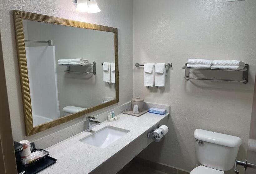 Номер Стандарт Кровать Кинг Адаптированный для Инвалидов, Quality Inn & Suites