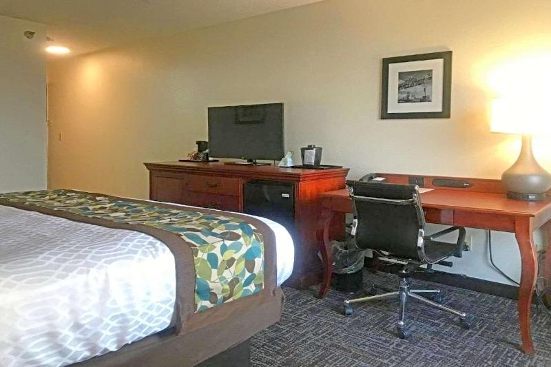 Стандартный Номер Кровать Кинг, Rodeway Inn & Suites