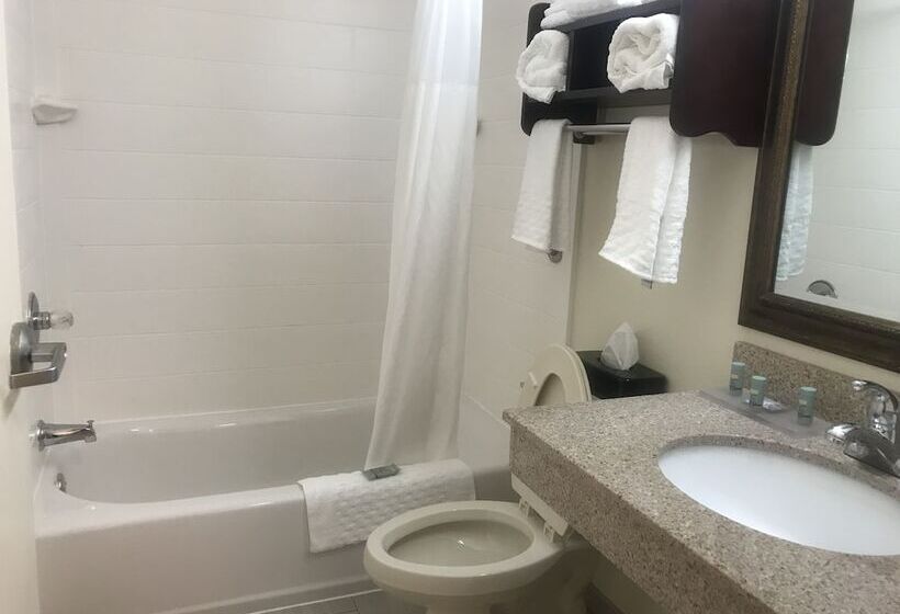 Люкс Адаптированный для Инвалидов, Rodeway Inn & Suites