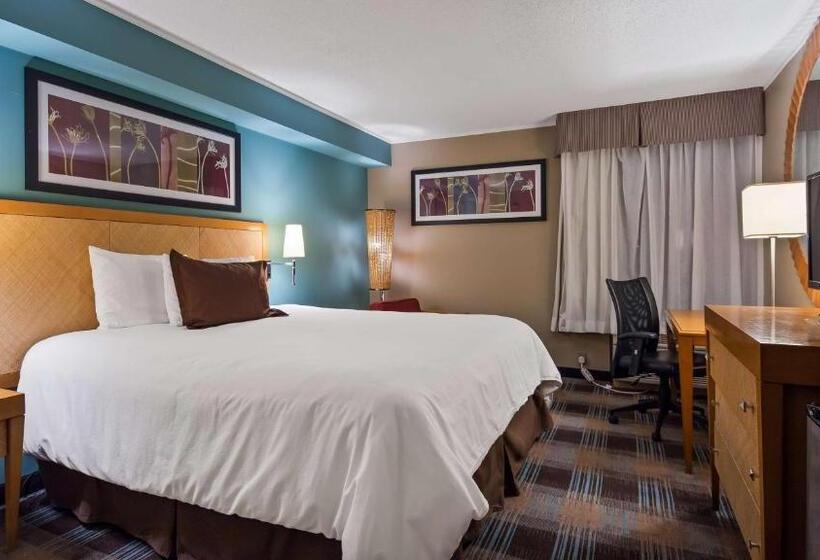 스탠다드 룸 킹사이즈 침대, Surestay Plus Hotel By Best Western Jasper