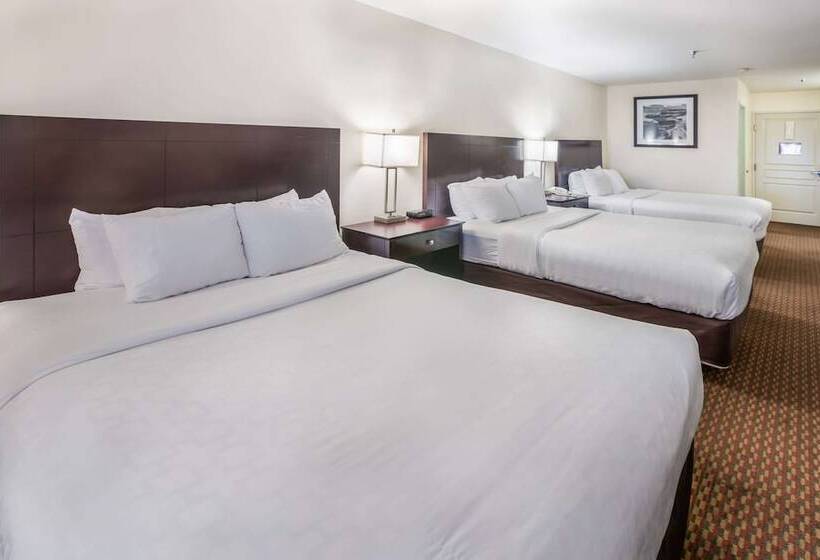 스탠다드 룸, Clarion Inn Page  Lake Powell