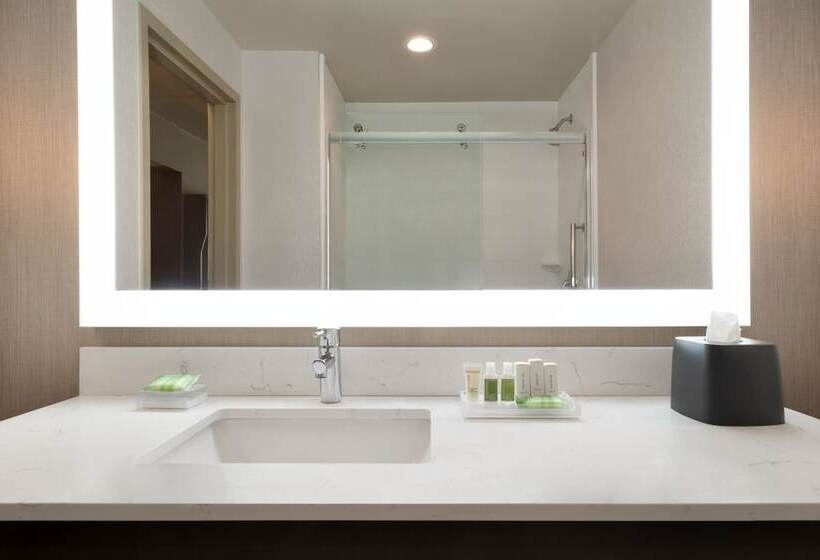 장애인을 위한 스위트, Holiday Inn Hotel & Suites Council Bluffs, An Ihg