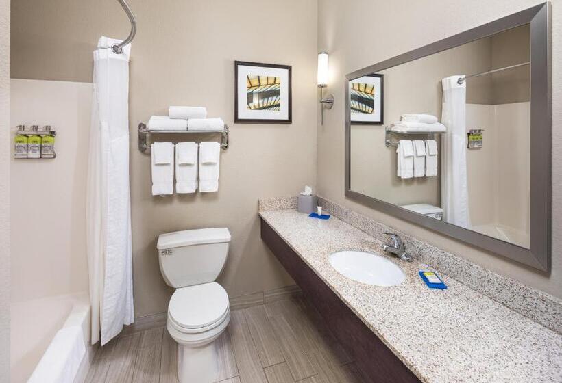 Люкс Кровать Кинг, Holiday Inn Express Hotel & Suites Minneapolis   Minnetonka, An Ihg