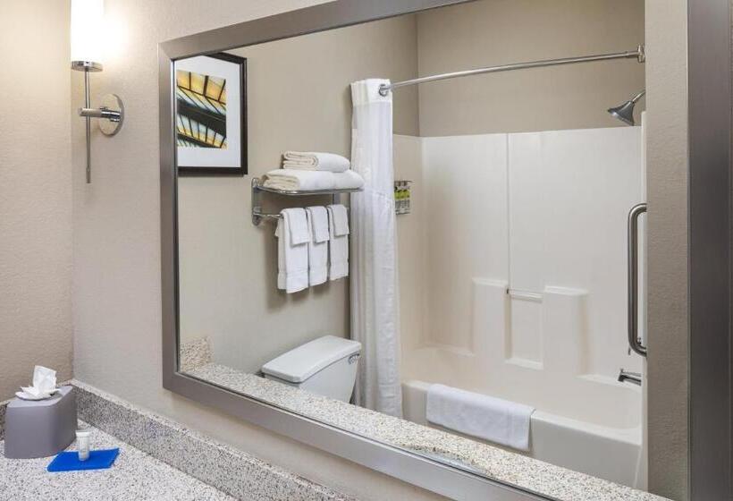 Люкс Адаптированный для Инвалидов, Holiday Inn Express Hotel & Suites Minneapolis   Minnetonka, An Ihg