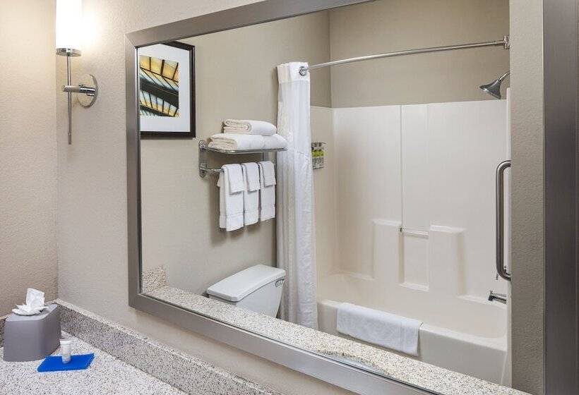 Люкс, Holiday Inn Express Hotel & Suites Minneapolis   Minnetonka, An Ihg