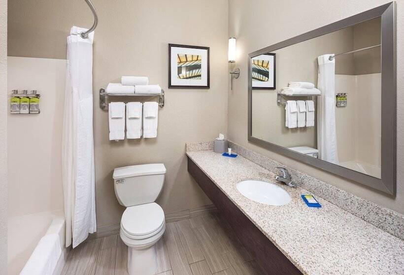 Люкс Адаптированный для Инвалидов, Holiday Inn Express Hotel & Suites Minneapolis   Minnetonka, An Ihg