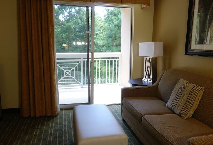 套房, Homewood Suites By Hilton Durhamchapel Hill / I40