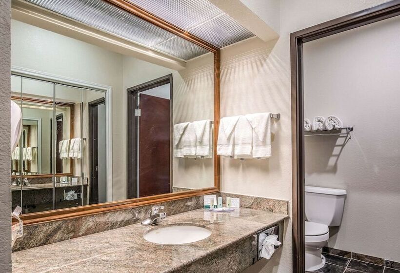 套房, Quality Inn & Suites Seabrook  Nasa  Kemah