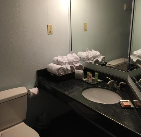 キングサイズベッドのスイートルーム, Wyndham Garden Hotel Austin