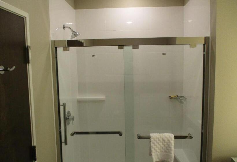 Номер Стандарт Индивидуальный Кровать Кинг, Best Western Plus Lakeview