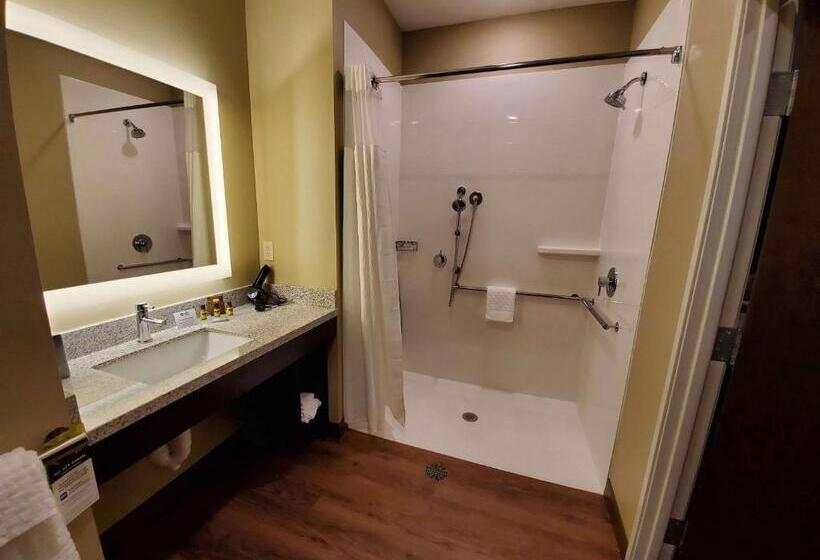 Одноместный Номер Стандарт Адаптированный для Инвалидов, Best Western Plus Lakeview