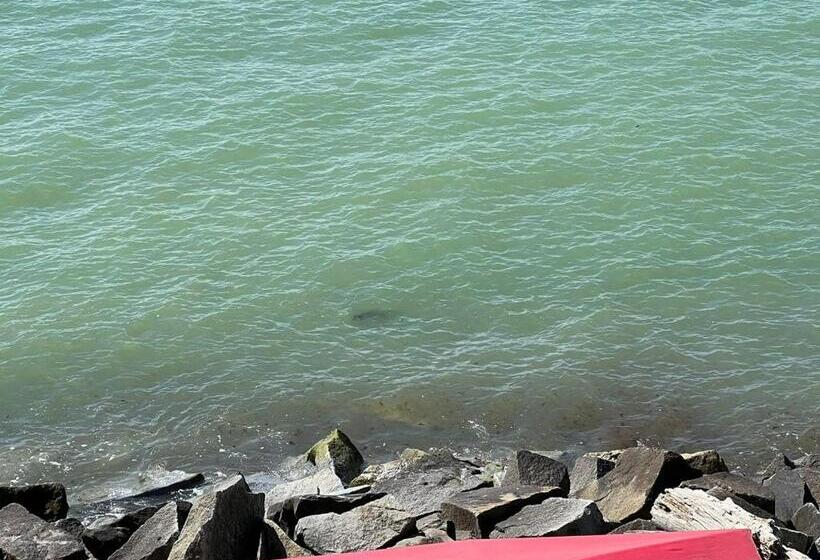 Номер Deluxe Вид на Море, Fährblick   Pension Direkt Am Wasser