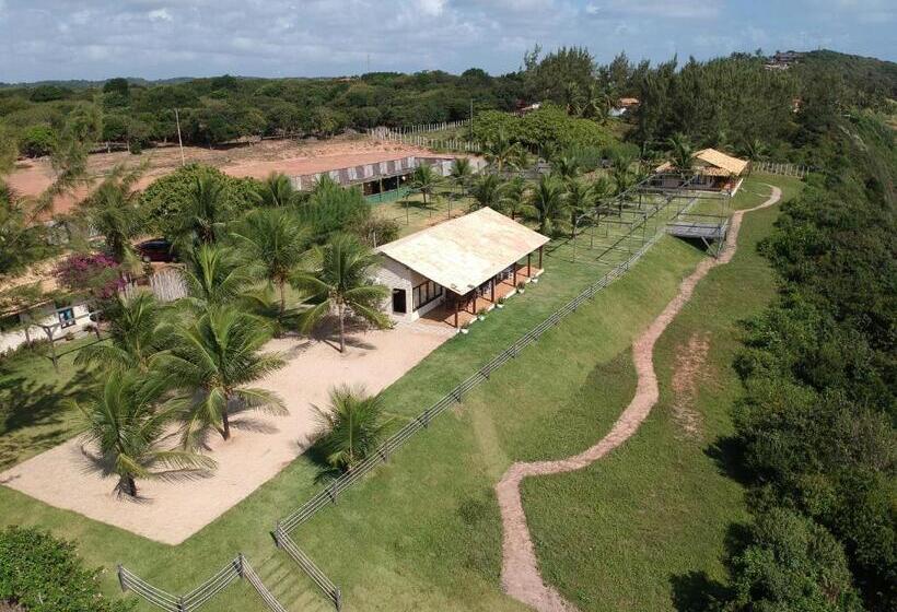 이코노미 룸, Pipátoa Bungalows