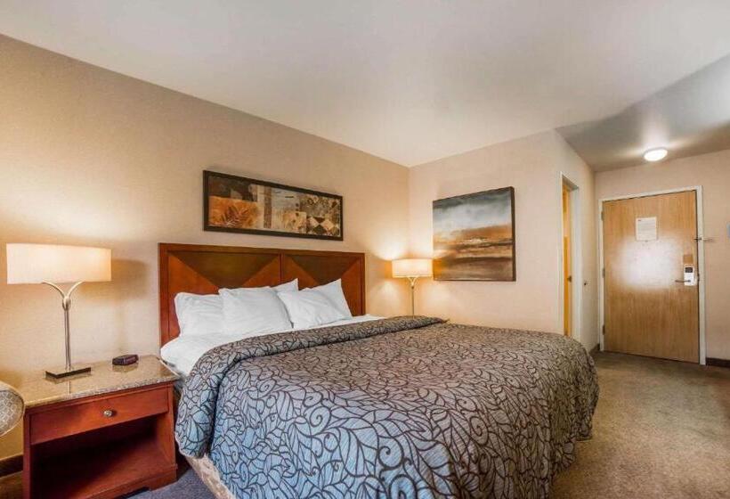 스탠다드 룸 킹사이즈 침대, Rodeway Inn & Suites