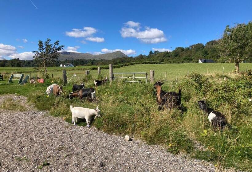 اتاق استاندارد با چشم‌انداز باغ, Highland Croft B&b