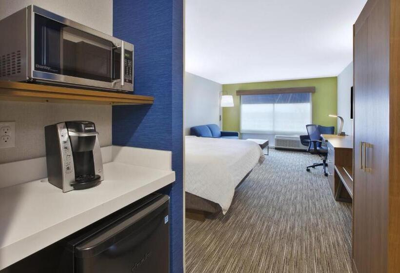 스위트 킹사이즈 침대, Holiday Inn Express & Suites Grand Rapids Airport North, An Ihg