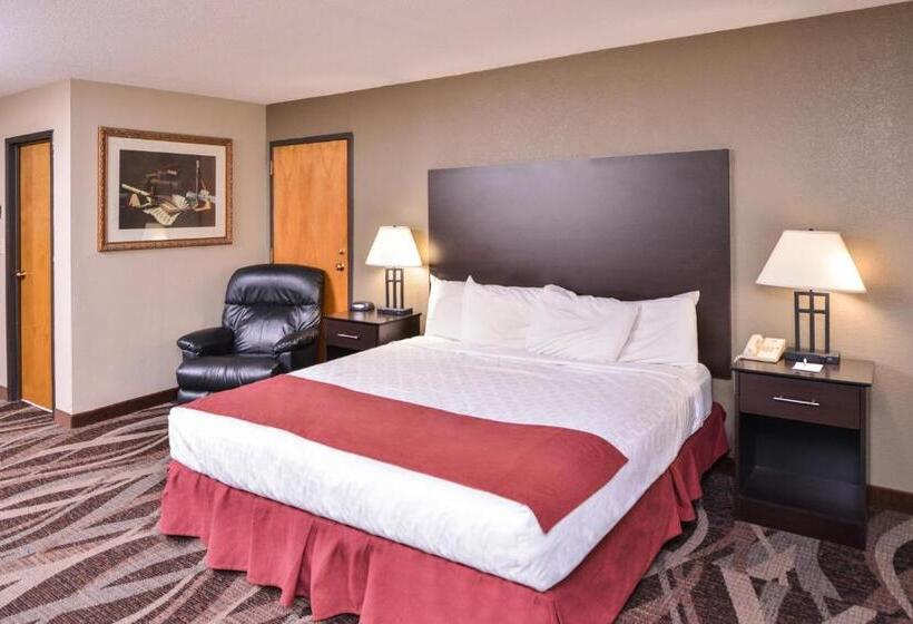 Стандартный Номер Кровать Кинг, Baymont By Wyndham Sioux Falls North,i 29,russell St, Airport