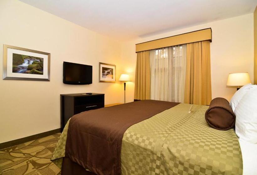 Номер Стандарт Кровать Кинг Адаптированный для Инвалидов, Best Western Plus The Inn & Suites At The Falls
