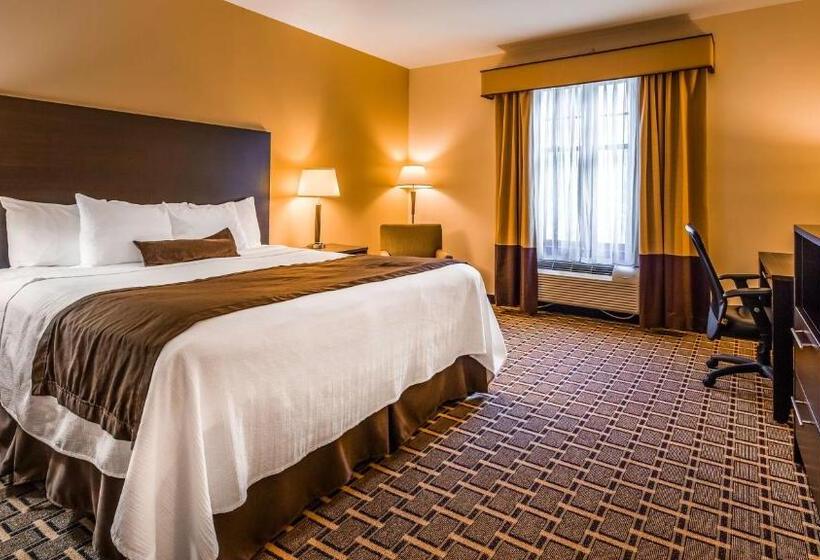 Номер Стандарт Кровать Кинг Адаптированный для Инвалидов, Best Western Plus The Inn & Suites At The Falls