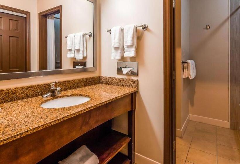 Стандартный Номер Кровать Кинг, Best Western Plus The Inn & Suites At The Falls