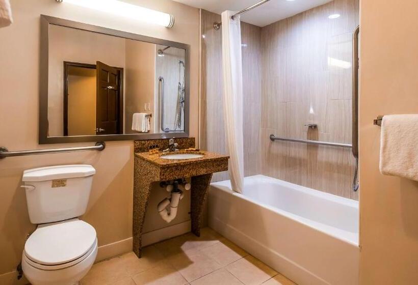 Номер Стандарт Адаптированный для Инвалидов, Best Western Plus The Inn & Suites At The Falls