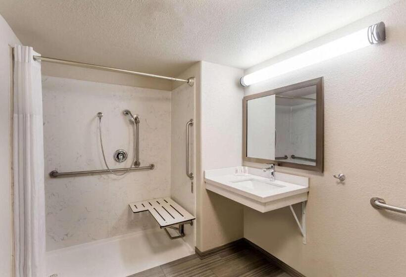 Номер Стандарт Кровать Кинг Адаптированный для Инвалидов, Days Inn By Wyndham Yosemite Area