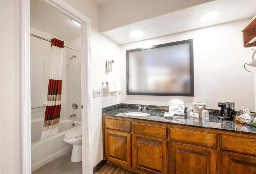 Номер Deluxe, Red Roof Inn & Suites Calhoun