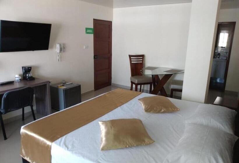 Номер Deluxe Кровать Кинг, Apartahotel Lion
