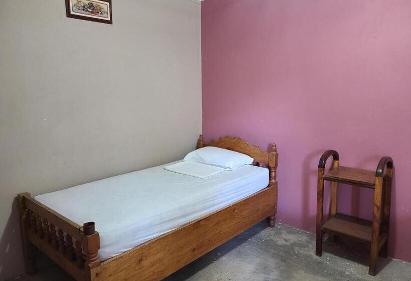 Quarto Triplo Estandar, Sophie House