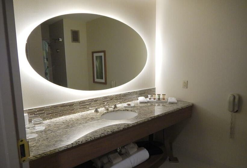 Habitació Estàndard Llit King, Moody Gardens Hotel Spa And Convention Center
