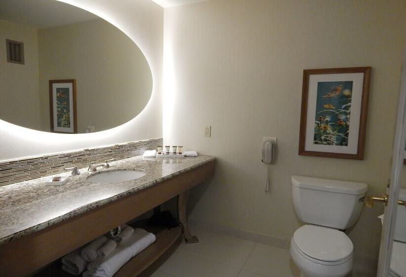 Habitació Estàndard Llit King, Moody Gardens Hotel Spa And Convention Center