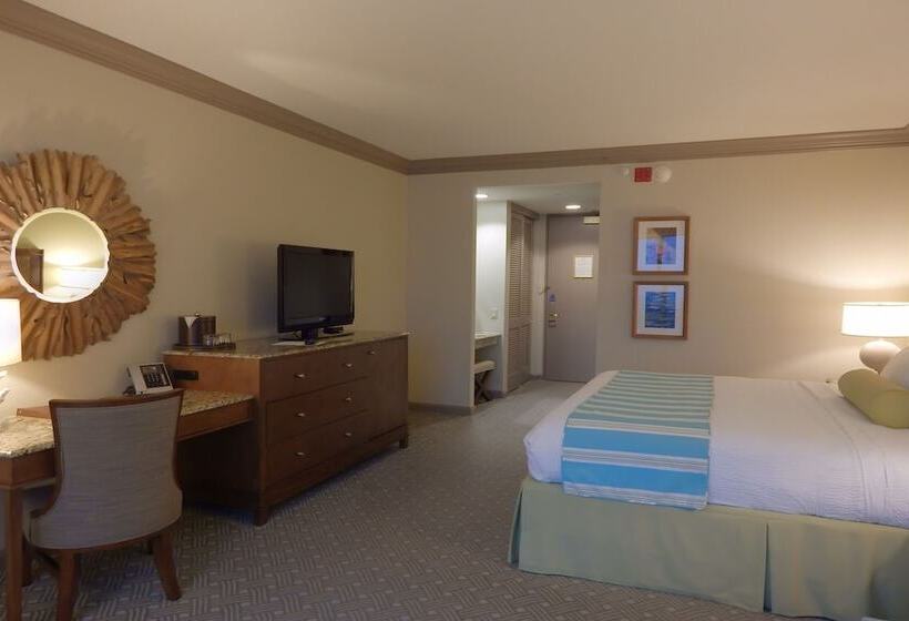 Habitació Estàndard Llit King Adaptada per a persones amb mobilitat reduïda, Moody Gardens Hotel Spa And Convention Center