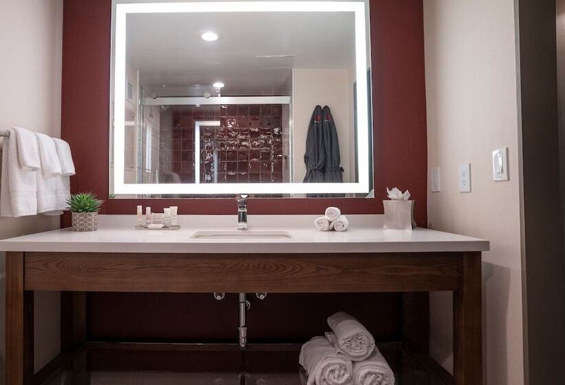스탠다드 룸 더블 침대 2개, Napa Valley Marriott Hotel & Spa