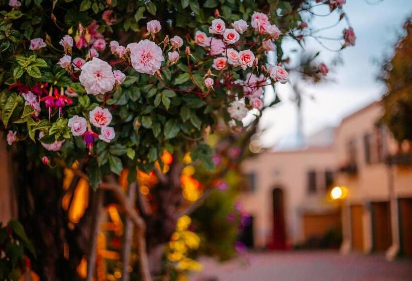 اتاق استاندارد برای معلولان, Marina Motel