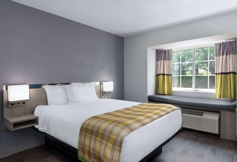 غرفة قياسية لذوى الاحتياجات الخاصة, Microtel Inn By Wyndham Spartanburg Duncan