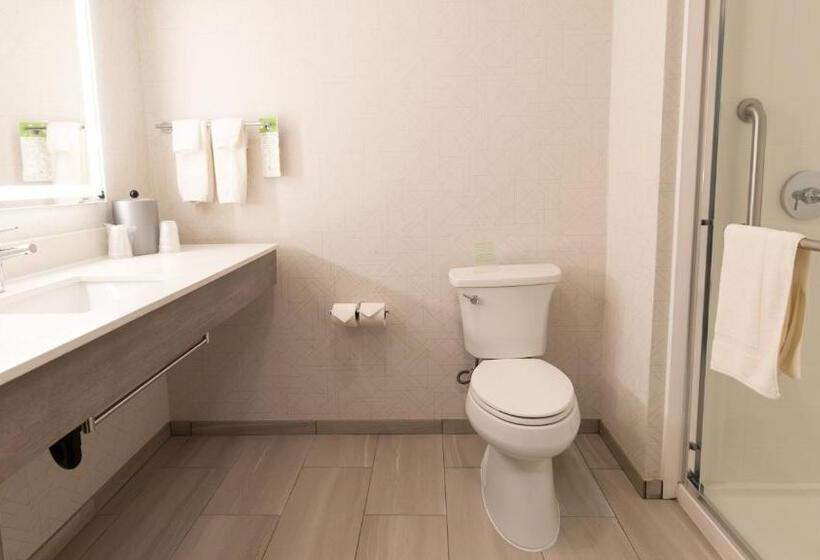 标准间, Holiday Inn Express Oakdale, An Ihg