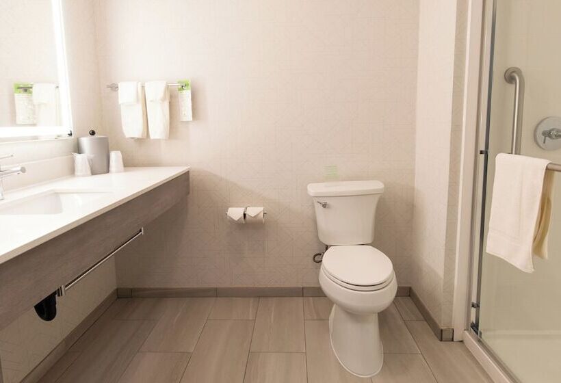 标准间, Holiday Inn Express Oakdale, An Ihg