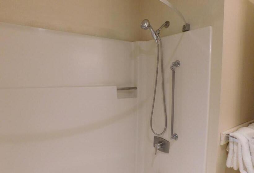 스탠다드 룸 킹사이즈 침대, Pacific Gardens Inn