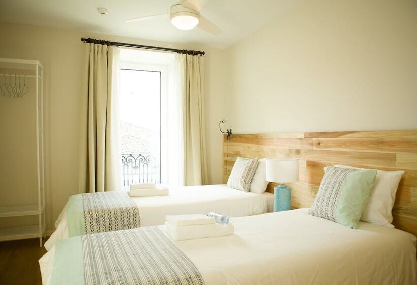 Номер Стандарт, The Holy Cow  Hostel & Suites