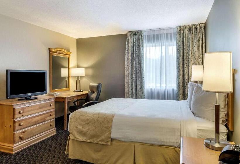 Номер Стандарт, Clarion Inn Seekonk   Providence