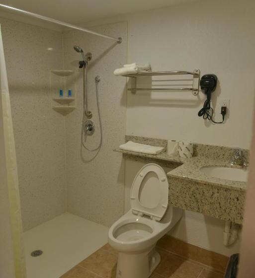 اتاق استاندارد با تخت بزرگ, Rodeway Inn & Suites Winter Haven Chain Of Lakes